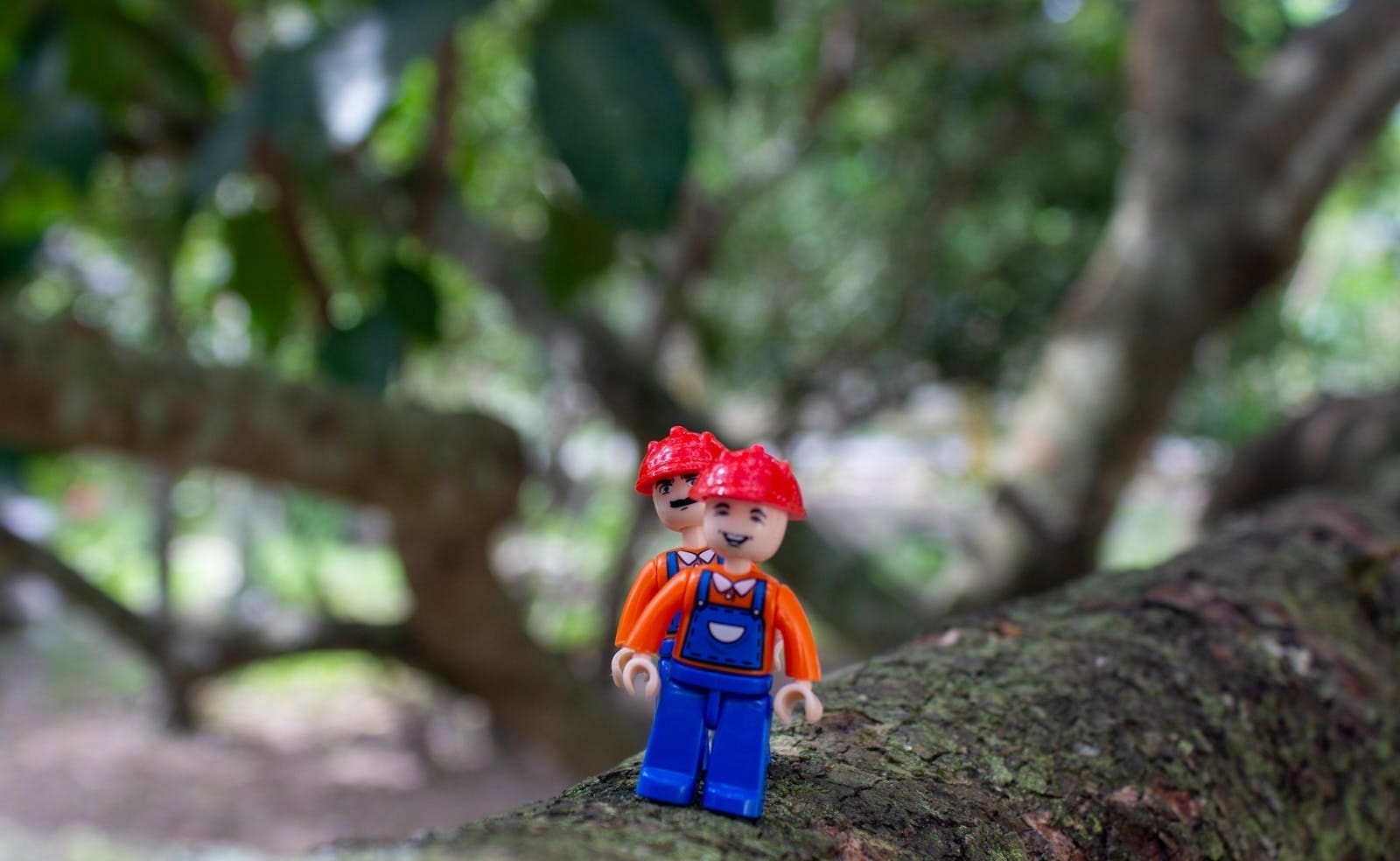 LEGO in Austin: Where to Buy, Build & Connect with Texas AFOLs 2026 — Texas Fandoms